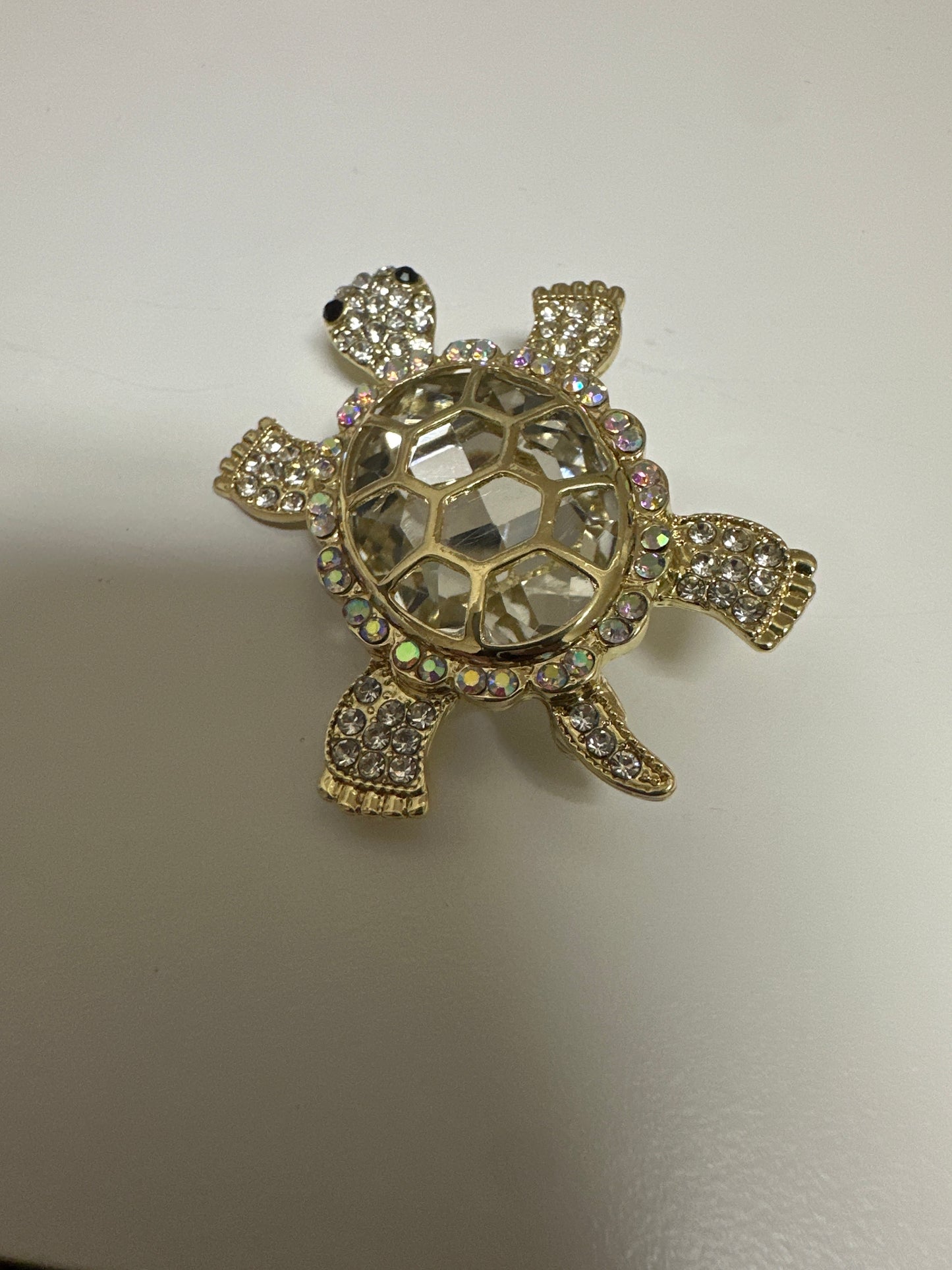 The Sparkling Turtle