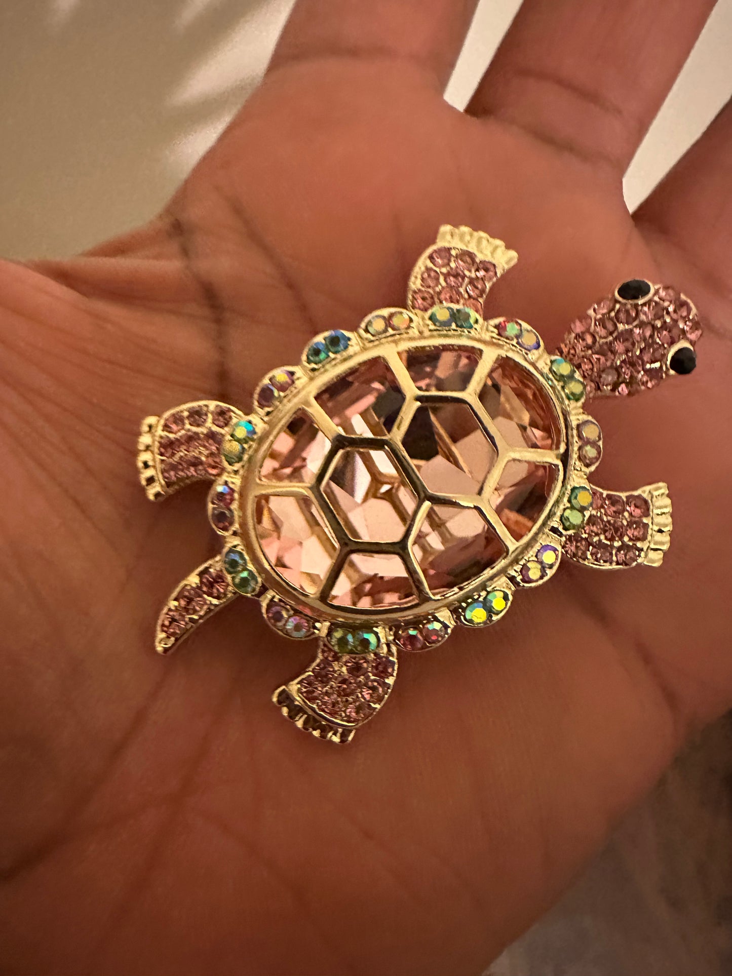 The Sparkling Turtle