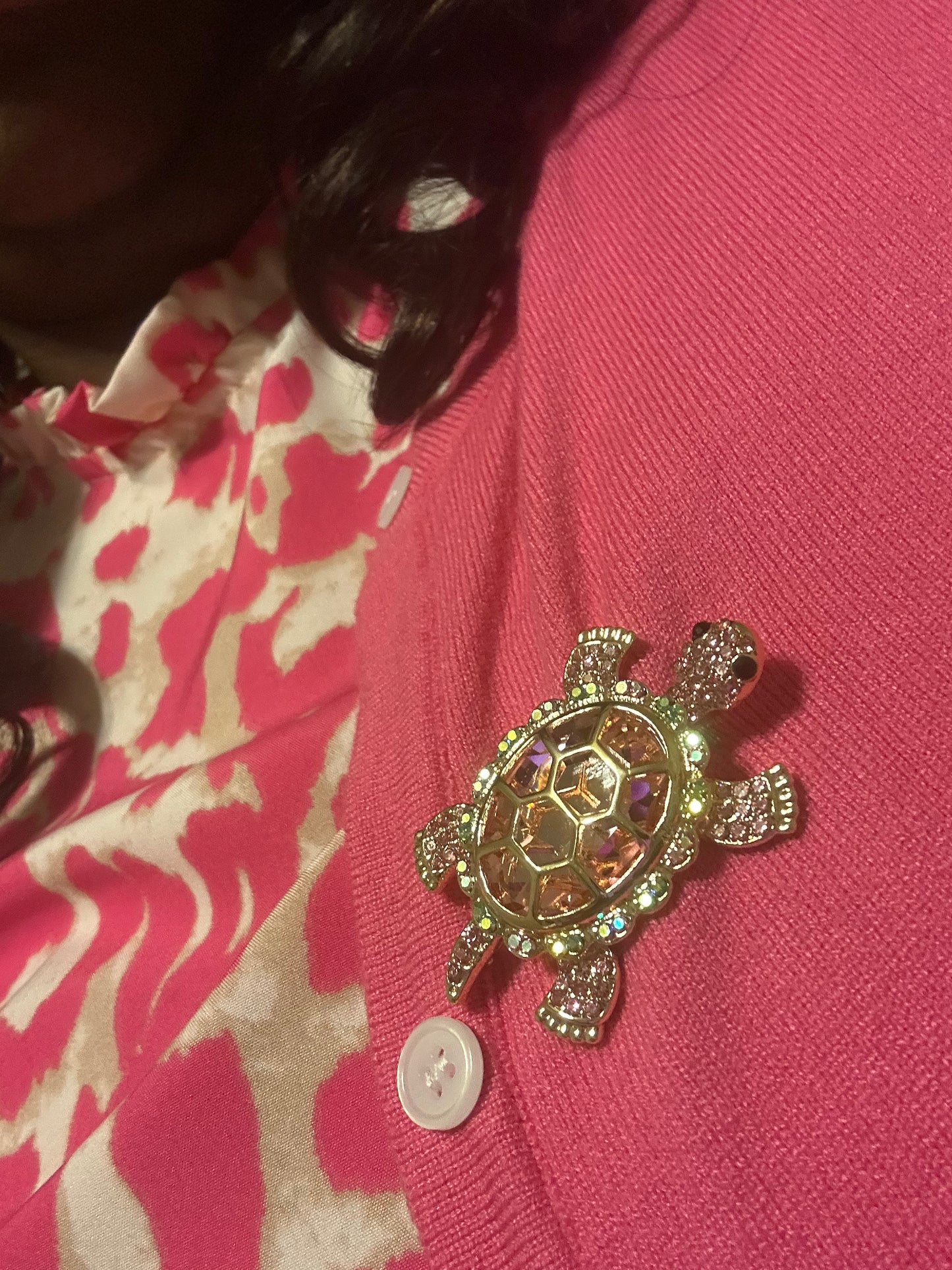 The Sparkling Turtle
