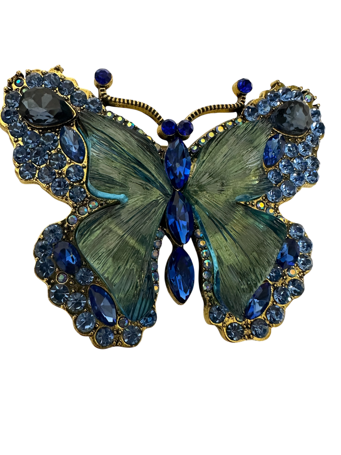 Stunning Painted Lady Butterfly