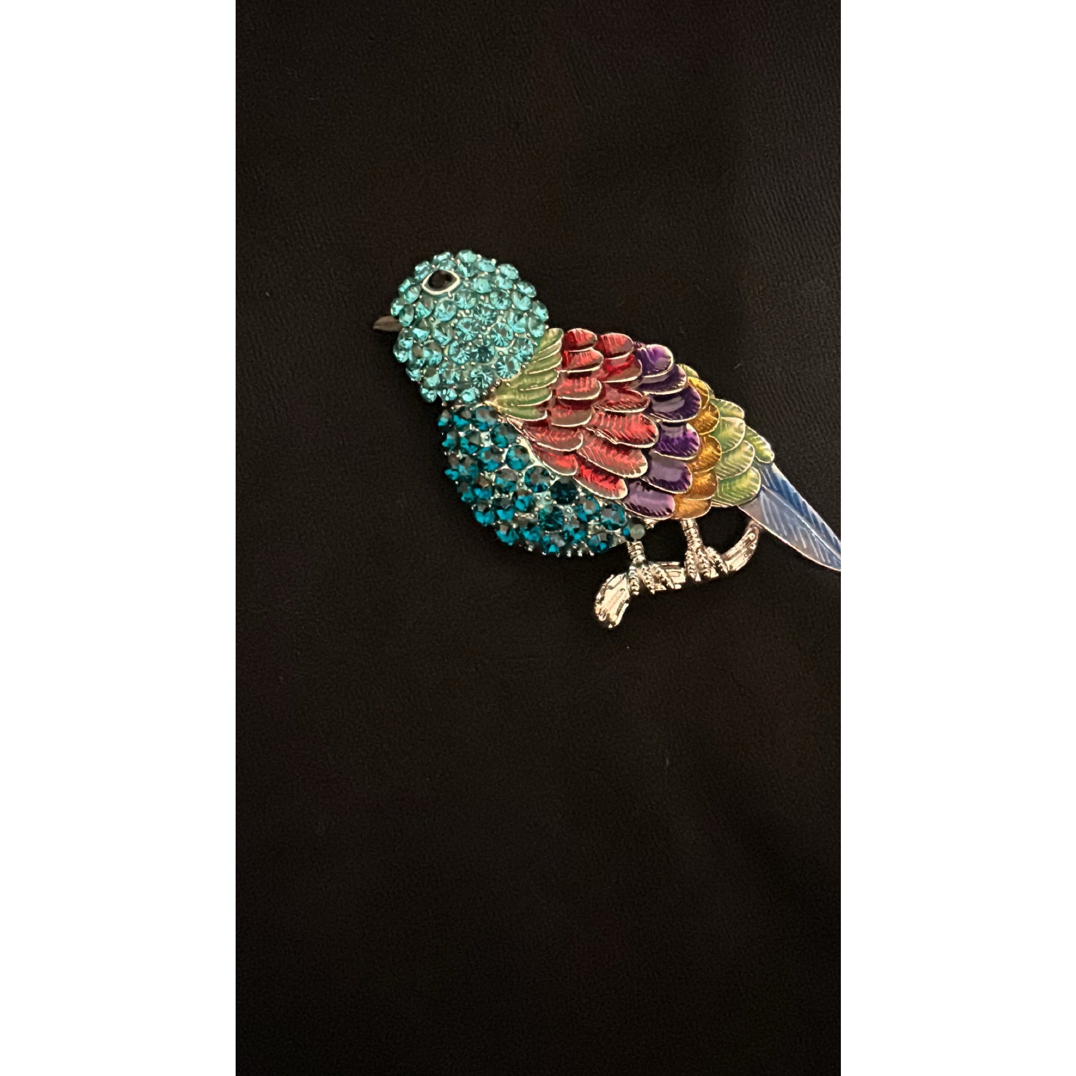 Bird Brooches