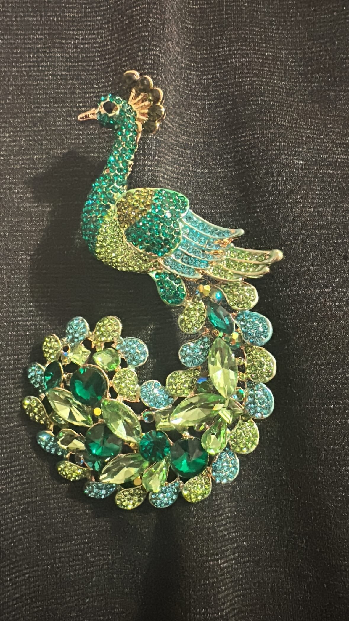 XL Peacock 🦚 Brooch