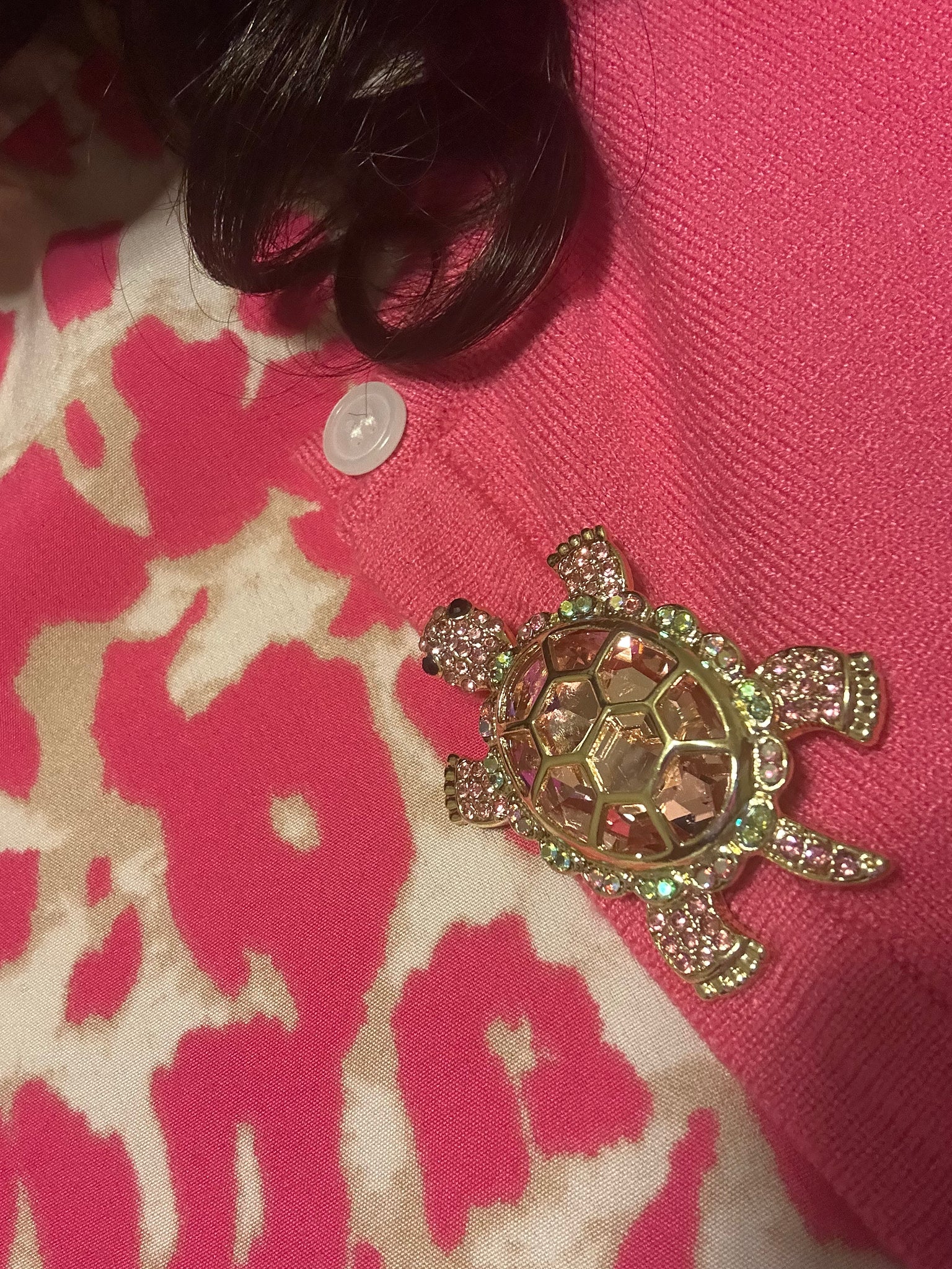 The Sparkling Turtle