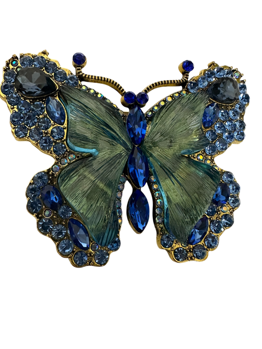 Stunning Painted Lady Butterfly